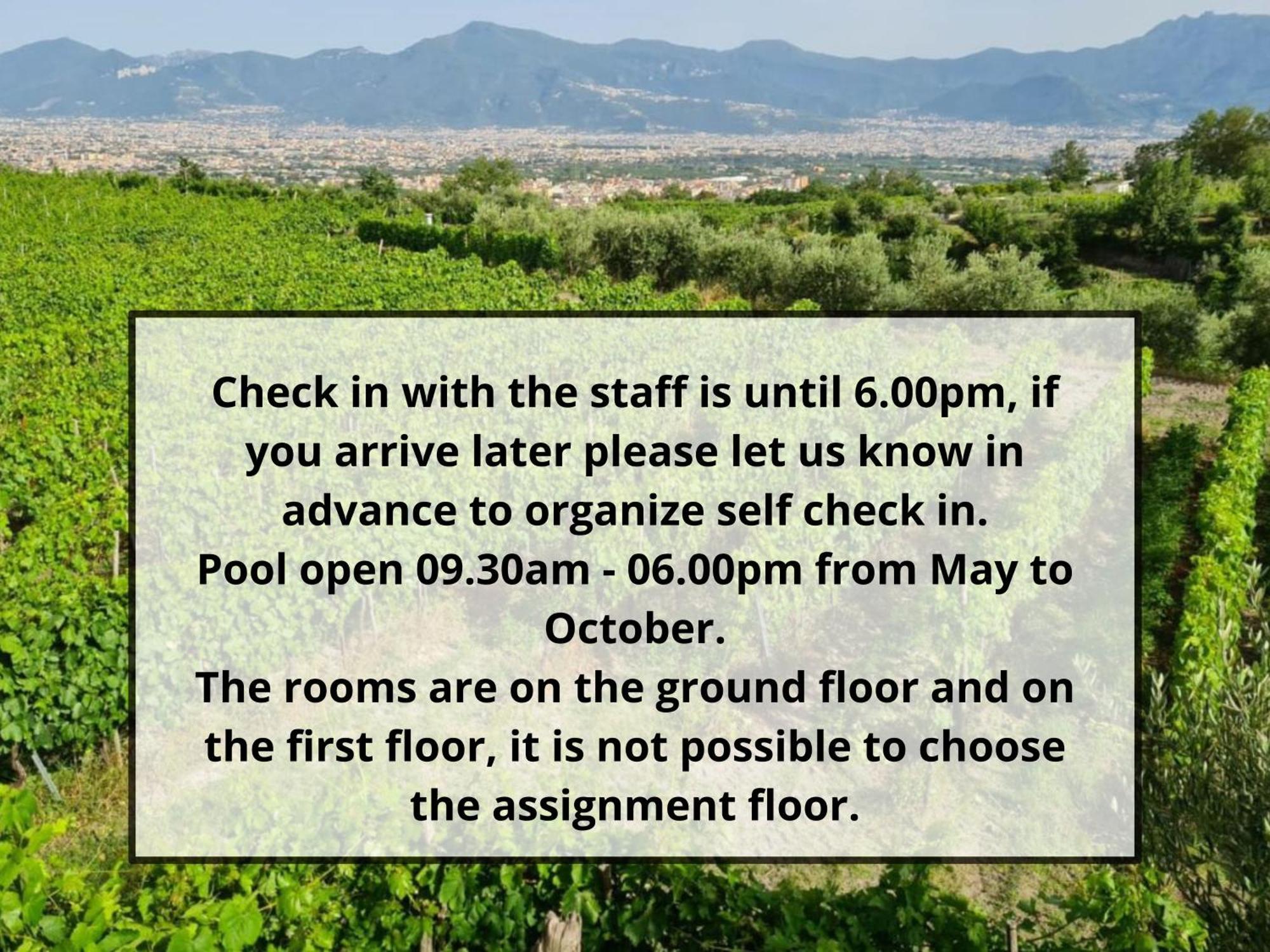 Vesuvio Inn Bed & Wine Experience Boscotrecase Exterior photo