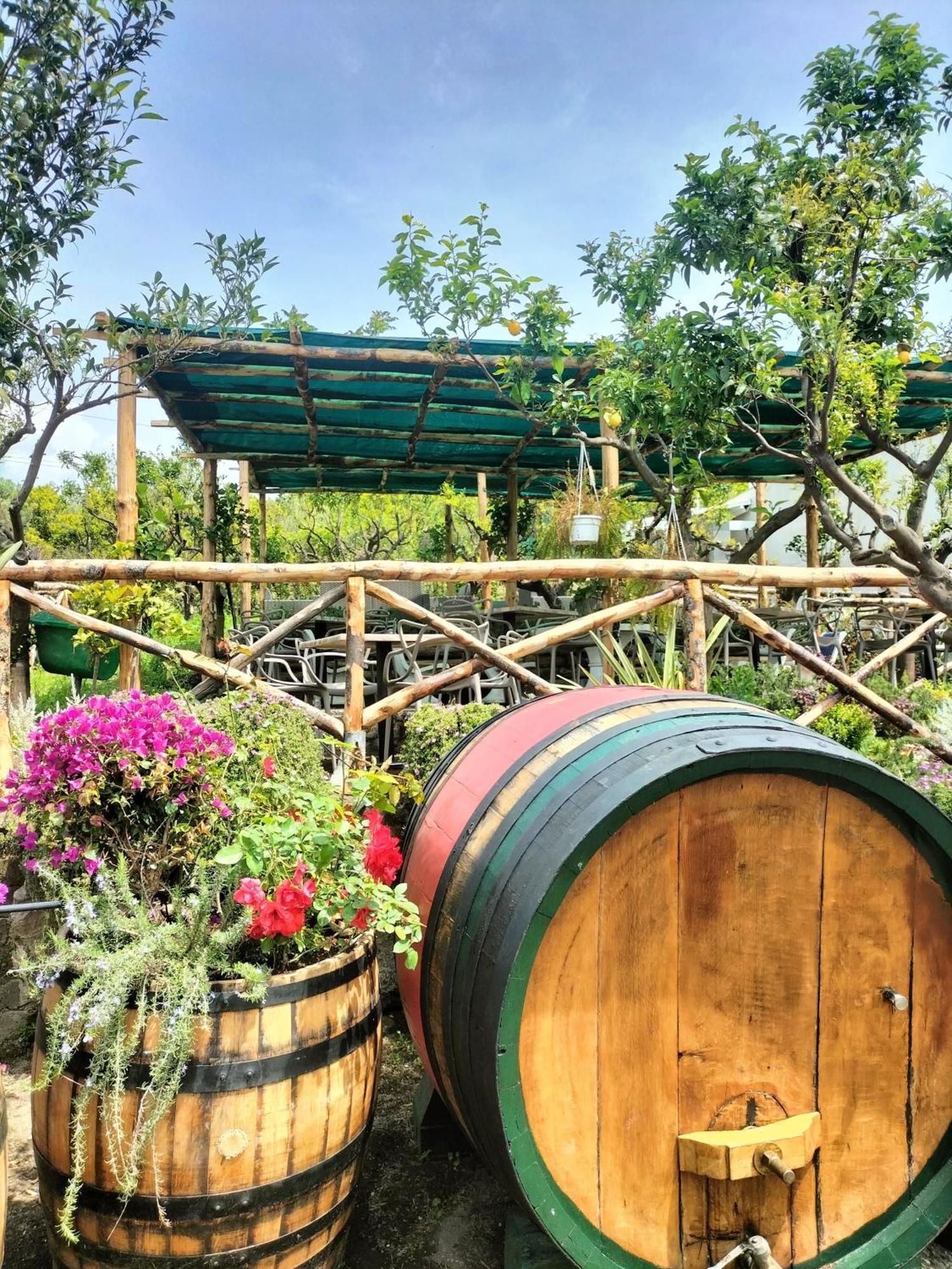 Vesuvio Inn Bed & Wine Experience Boscotrecase Exterior photo